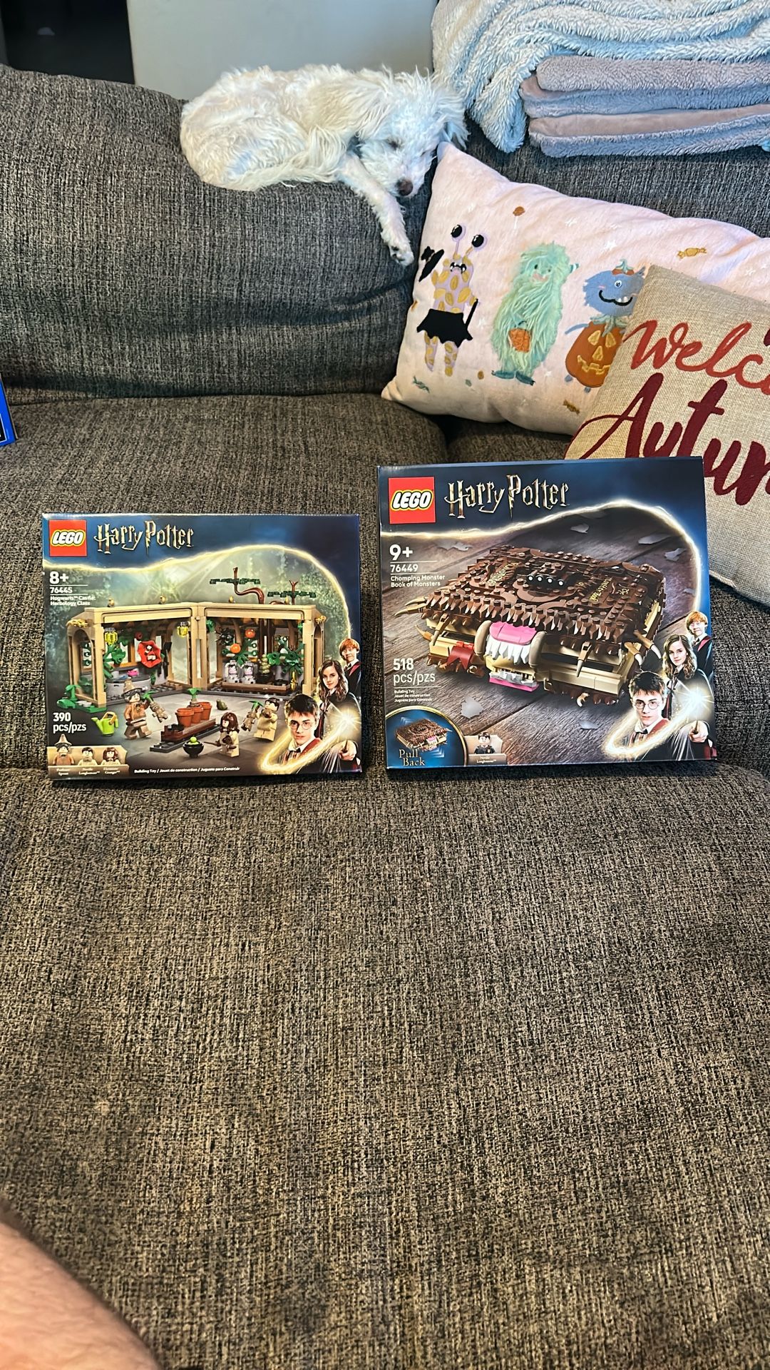 Lego Harry Potter - Book of Monsters & Herbology Class