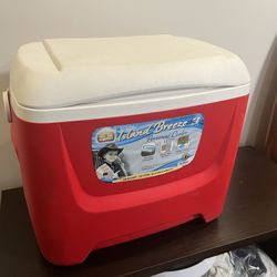 Cooler, 28 Quarts Or 26 Liters