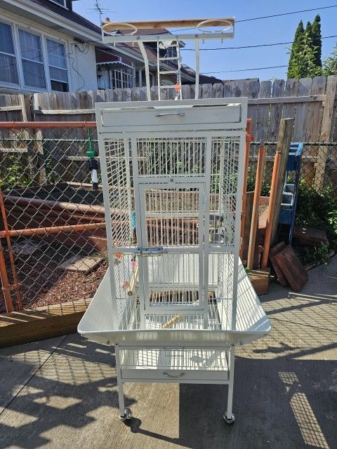 Bird Cage