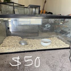 Tank Enclosure Terrarium 