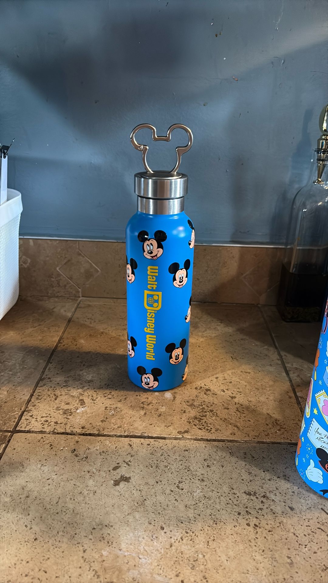 Wake Disney World Water Bottle.