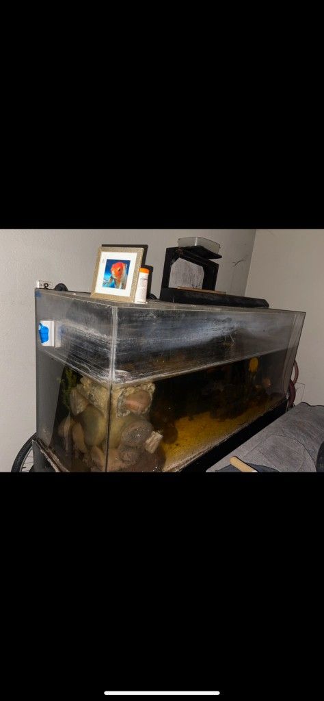 500 Gallon Fish Tank