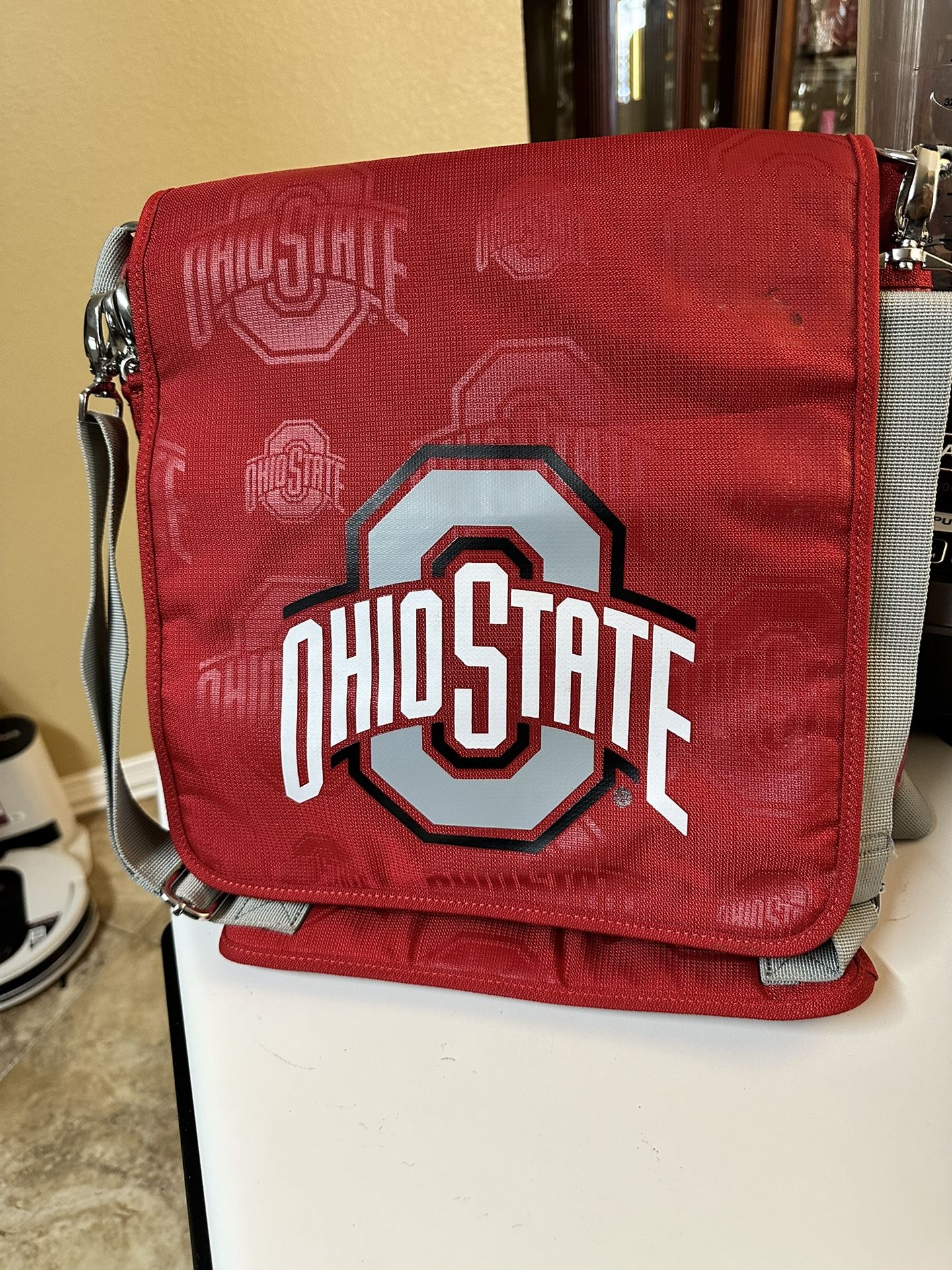 Ohio State buckeyes sports fan bag/cooler/backpack