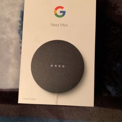 Google Nest Mini