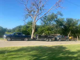 Trees 🌲 remove trees 🌲  broken branches