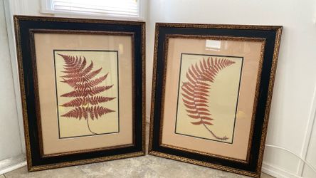 Pair Of Matted And Framed Rustic Fern Images