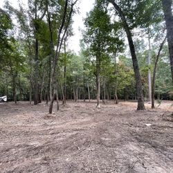 Clearing Underbrush 