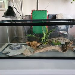 Reptile Tank/Cage