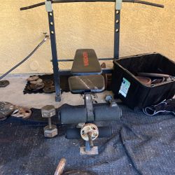 Weight Bench