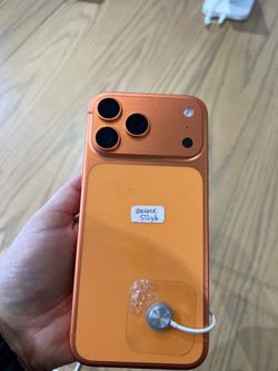 IP 17 Promax