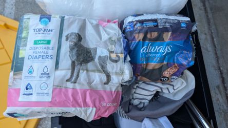 dog diapers