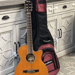 Electric Guitar