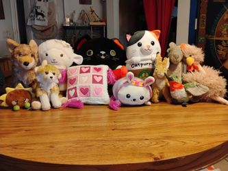Lot of 12 stuffed animals from popular brands