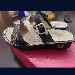 Algeria Walking Shoes