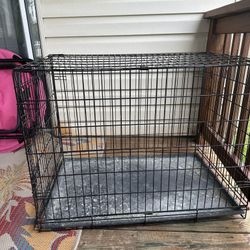 Single Cage 