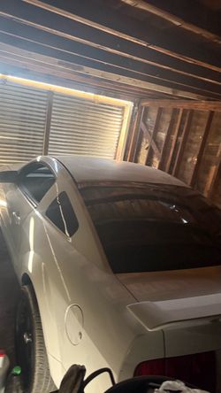 Mustang