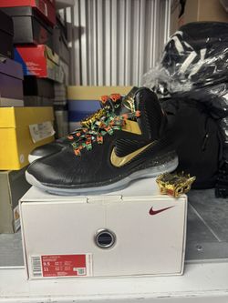 Nike LeBron IX