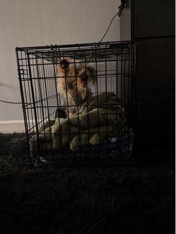 Small Cage
