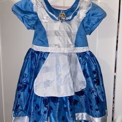 Alice In Wonderland Costume