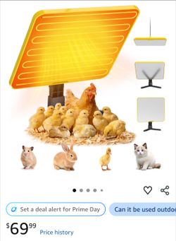 Heater lamp