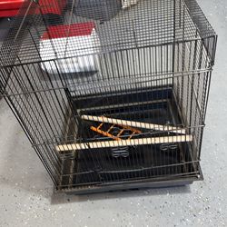 Bird Cage