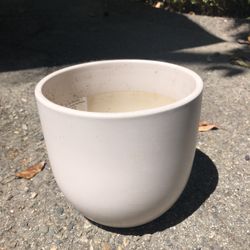 Plant Pot