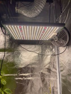 Grow Light (indoor)