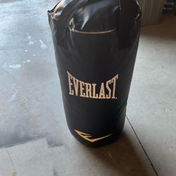 Everest Boxing Bag 