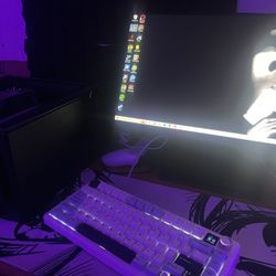Custom Gaming PC + 100Hz Monitor