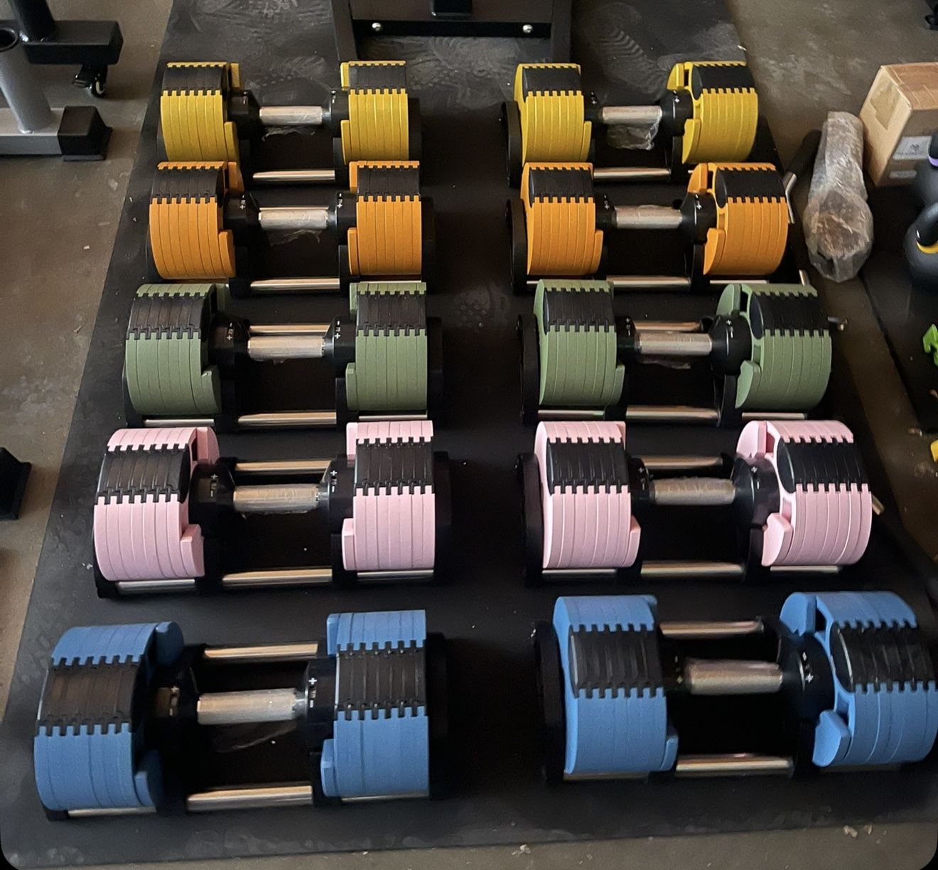 Adjustable Dumbbells