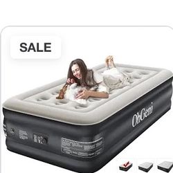Twin Air Mattress With Pump Built In 