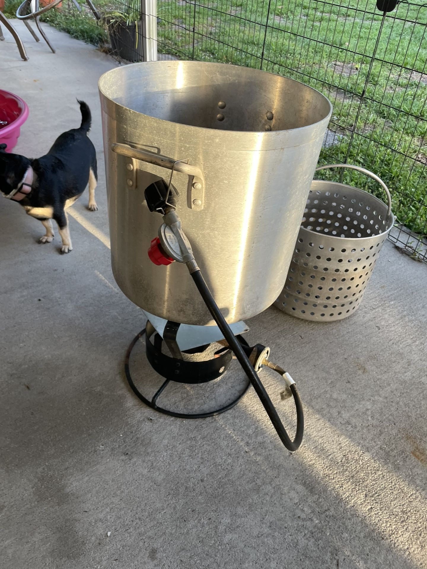 Excellent Old Sea Food Boil Pot Best Offer And It’s Yours