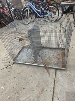 CAGES