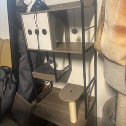 Cat House