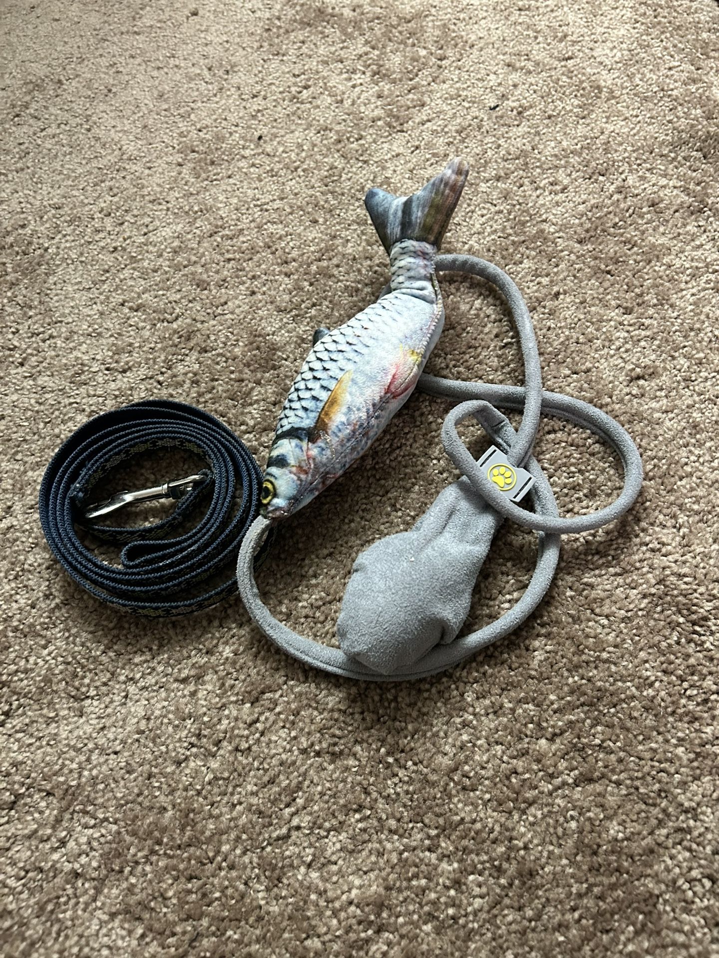 Cat Toy & Leash