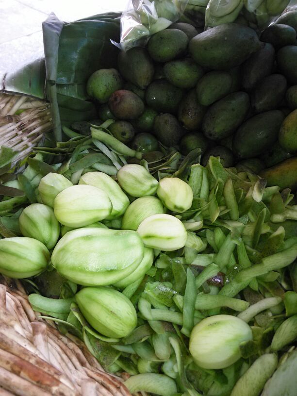 Se venden mango tiernos $10 una libra (español) solamente