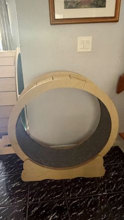 Cat Exercise Wheel