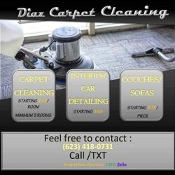 Carpet Cleaner/Limpieza De Alfombra