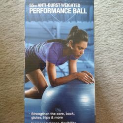 SPRI 55CM Performance Ball new in box the air pump including and The Home Gym BodyBoss 2.0