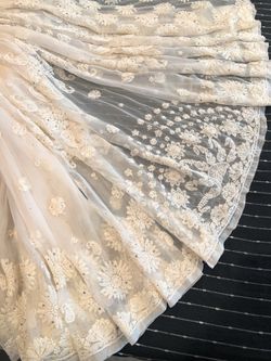 Pure chiffon saree - Lucknow India chikan work with full hand embroidered