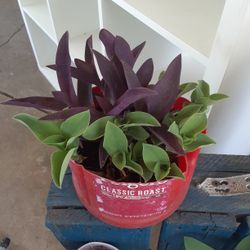 Mix 