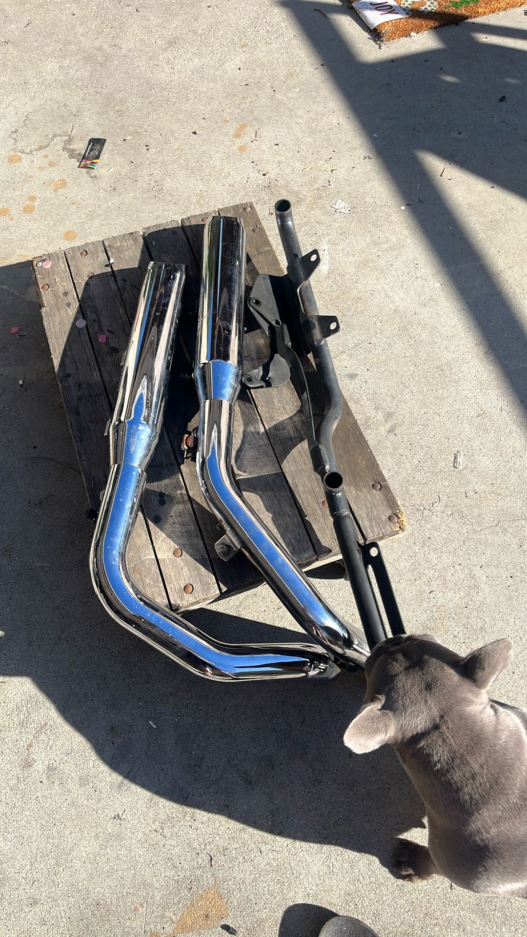 Exhaust Para Una Moto Harley Davison Sporster 48 Año 2013 Son Originales