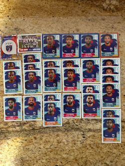 FIFA World Cup Panini Stickers