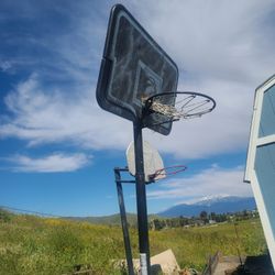 Basketball Court 🏀 