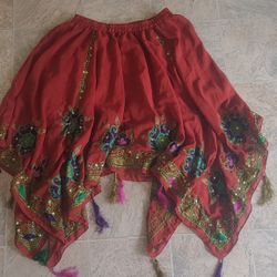 Belly Dance Skirt 
