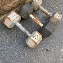 65 Lb