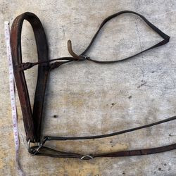 Horse Bridle 