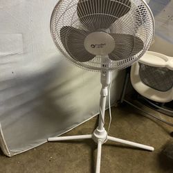 Standing  Fan