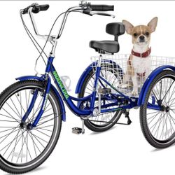 Cyclist Adult TRICYCLE