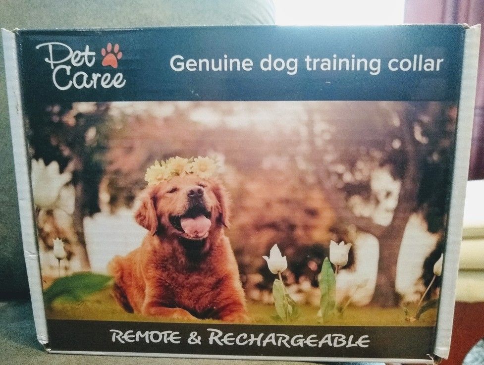 Dog Training Collar